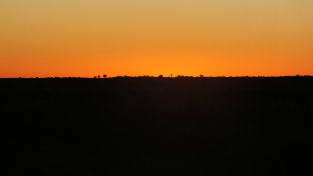 DSCF2184