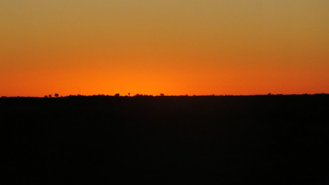 DSCF2186