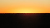 DSCF2187