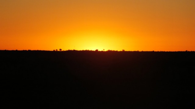 DSCF2190