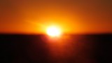 DSCF2195