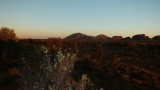 DSCF2202