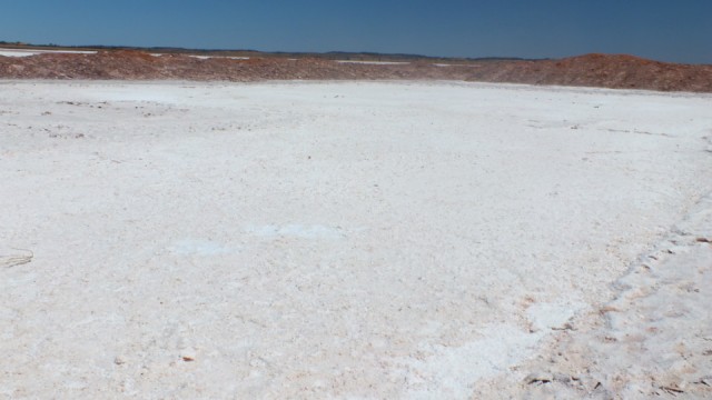 DSCF2251