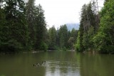 Starckenberger meer
