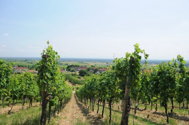 Uitzicht