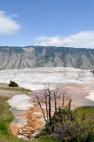 Mammoth Hot Springs