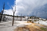Yellowstone