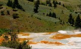 Yellowstone