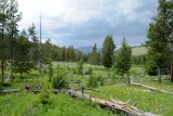 Yellowstone