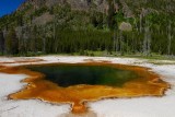Chromatic Spring