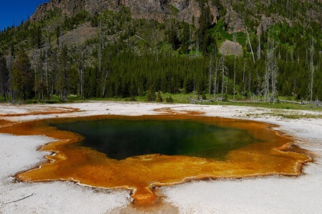 Chromatic Spring