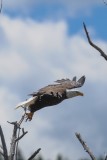 Take off