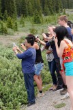 Beren spotters....