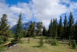 Landschap nabij Banff
