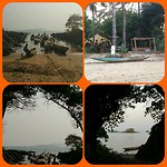 Banana island