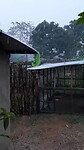 Staartje van het regenseizoen
