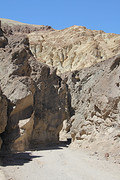 IMG_5445