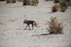 IMG_5510