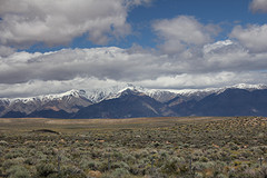 IMG_5598