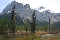 Emerald Peak, Yoho National Park