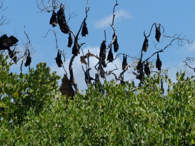 Hanging around