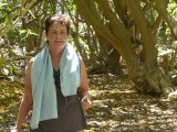 Pissonia