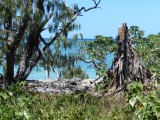 Outlook