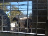 Zzzzzz...