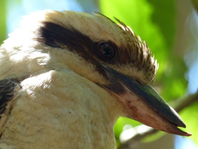 Close up