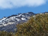 Mt. Kosciuszko