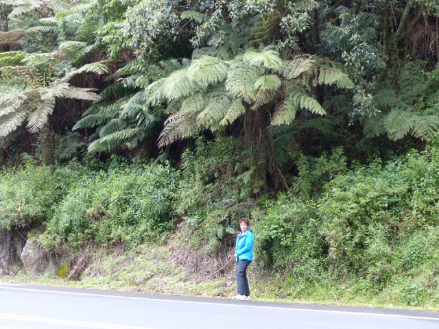Near Merimbula
