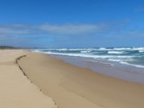 Tasmaanse Zee