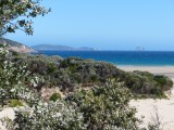 Norman Bay