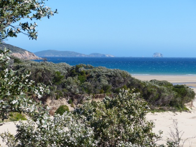 Norman Bay