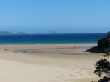 Norman Bay