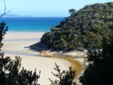 Norman Bay