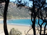 Norman Bay