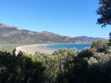 Norman Bay