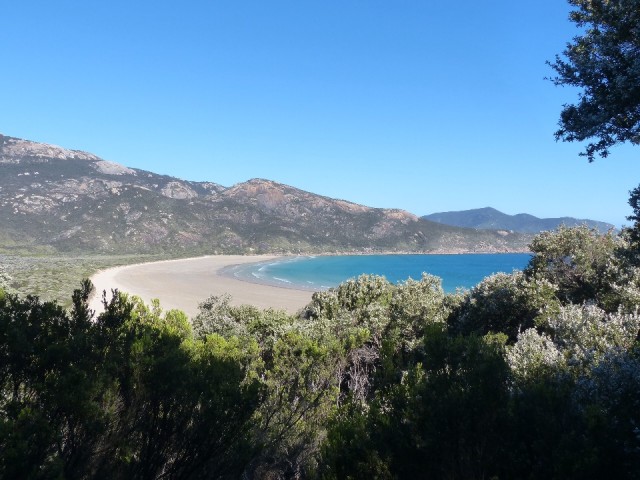 Norman Bay