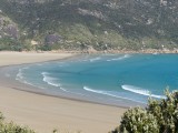 Norman Bay