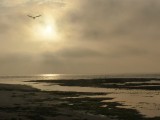 Laatste foto zonsopkomst