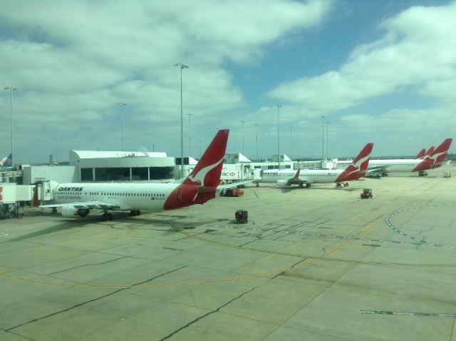Domestic Flight