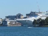 Greetings from.... Sun Princess?