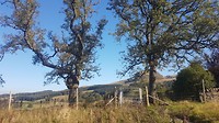 Milngavie-Drymen