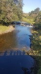Selfie