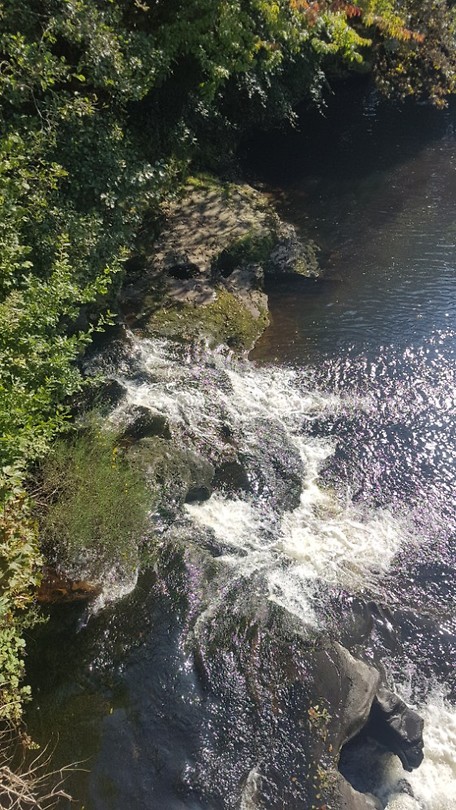 Gartness
