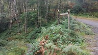 20190923_091316