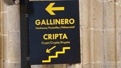Het kippenhok is even belangrijk dan de crypte...