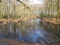 Hesselinksbos