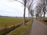 Borgstokken polder